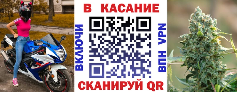Виды наркоты Венёв Гашиш  Галлюциногенные грибы  Меф  NBOMe  A-PVP 