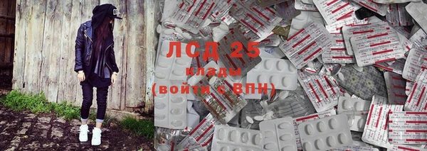 spice Алзамай