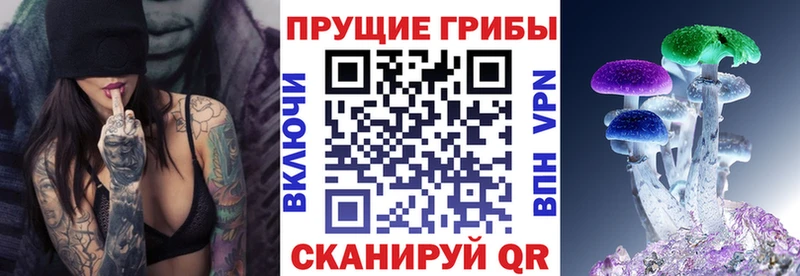Галлюциногенные грибы мухоморы  Венёв 